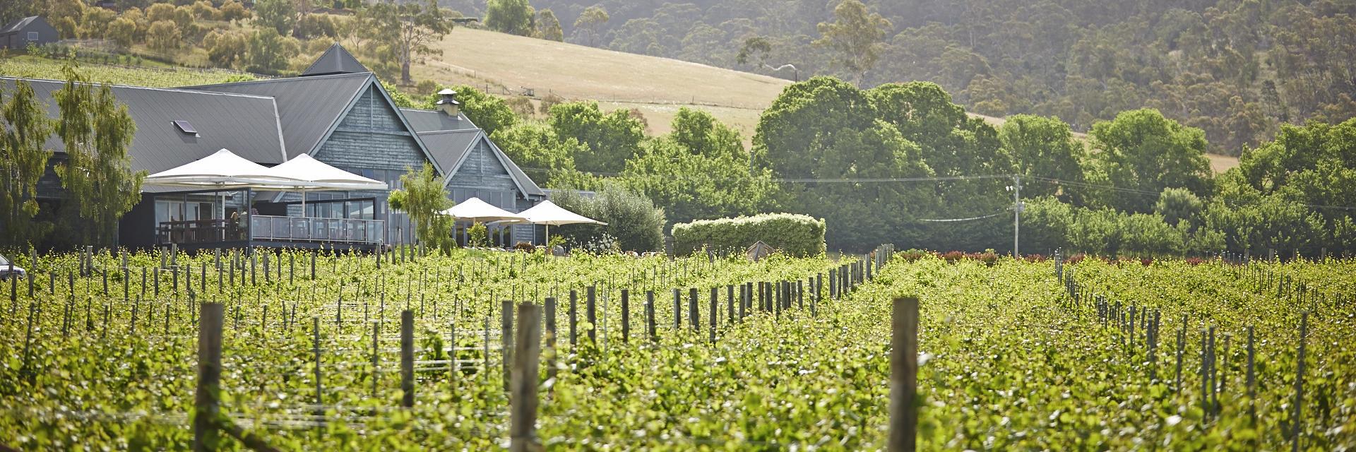 FrogmoreCreek's profile banner image