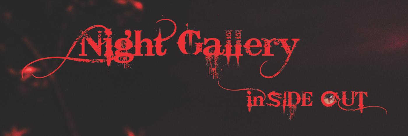nightgallerynyc's profile banner image