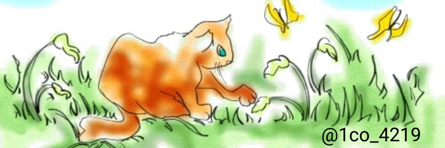 1co_4219's profile banner image