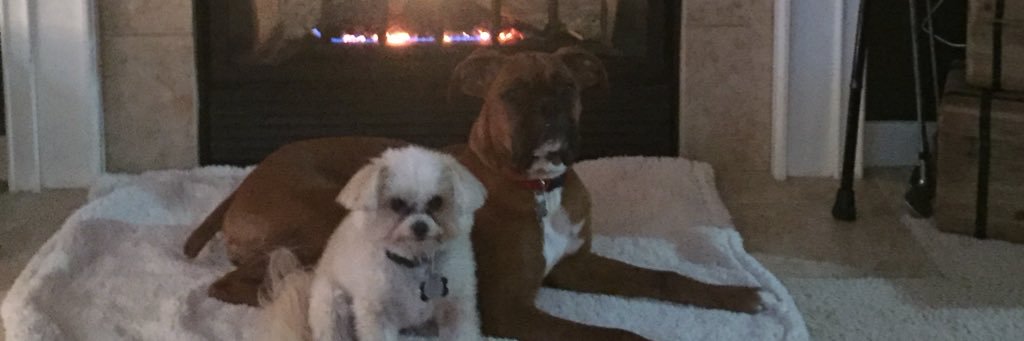 JMartin2369's profile banner image