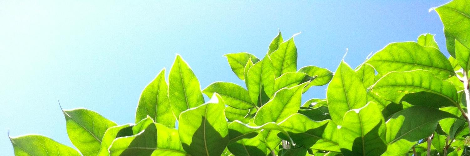 hello_imac3's profile banner image