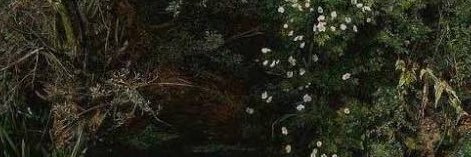 たにゃにゃ banner