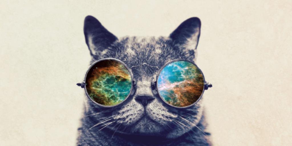 Patrick_Moodi's profile banner image