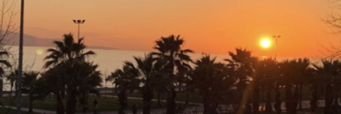 B banner