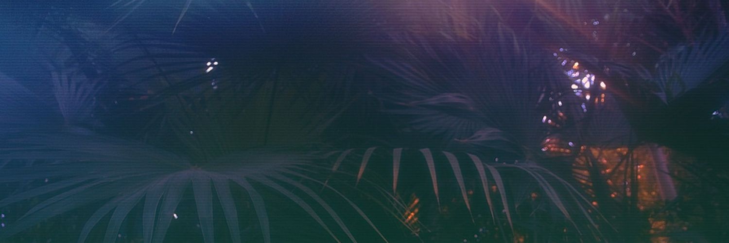 mixlagula's profile banner image