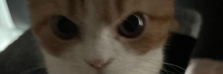 หมานุ่ม #dek69 banner