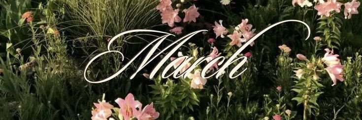 May 🥀 banner