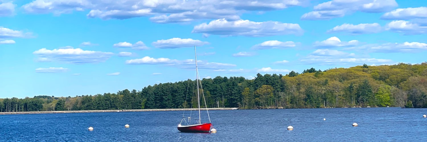 dolfthedolphin's profile banner image