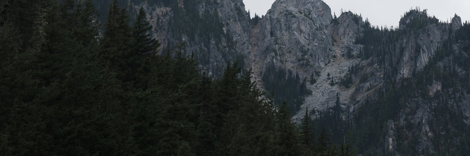 W banner