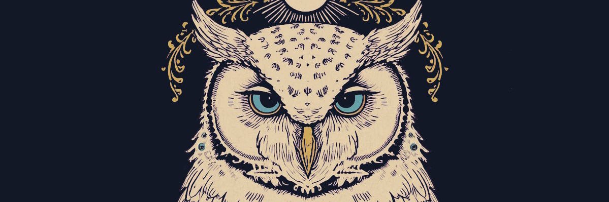 drpouna's profile banner image