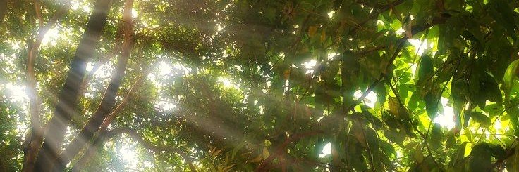 XYPH0B1A's profile banner image