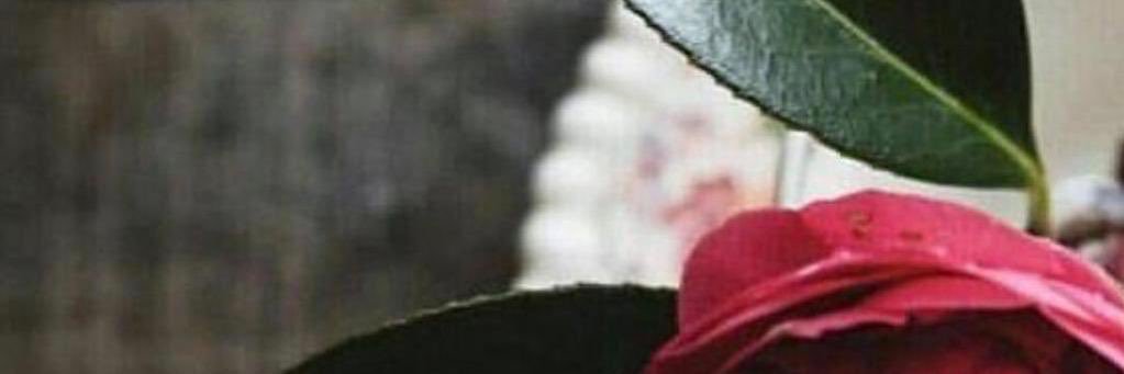 ddoodd54547's profile banner image