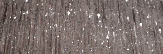 Carleigh banner