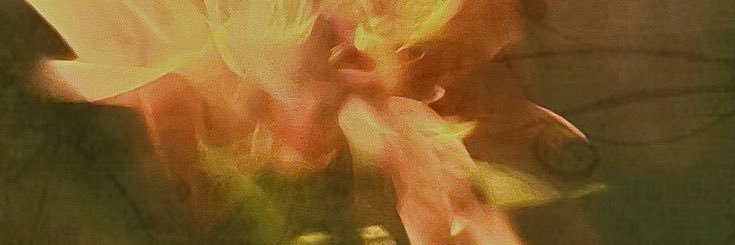 Aquiles Cenamor banner