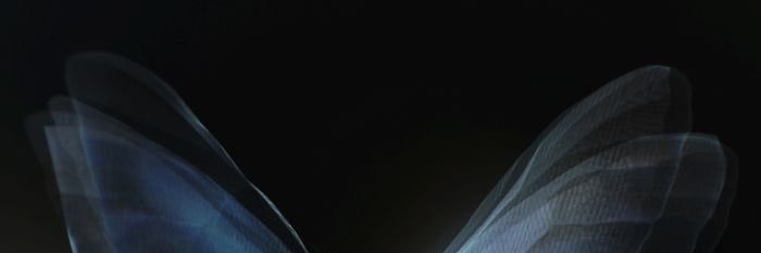 soso⋆ banner