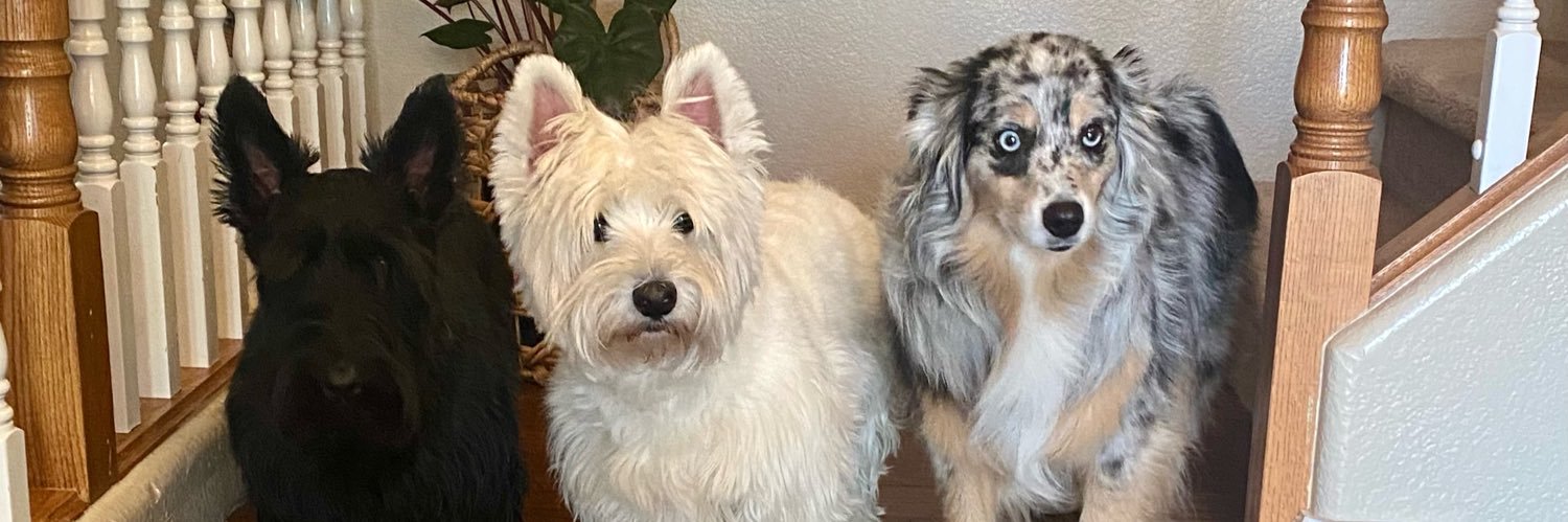 Schiessen’s Dad banner