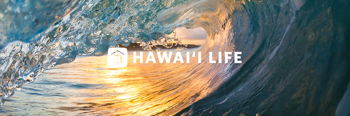 Hawaiʻi Life banner
