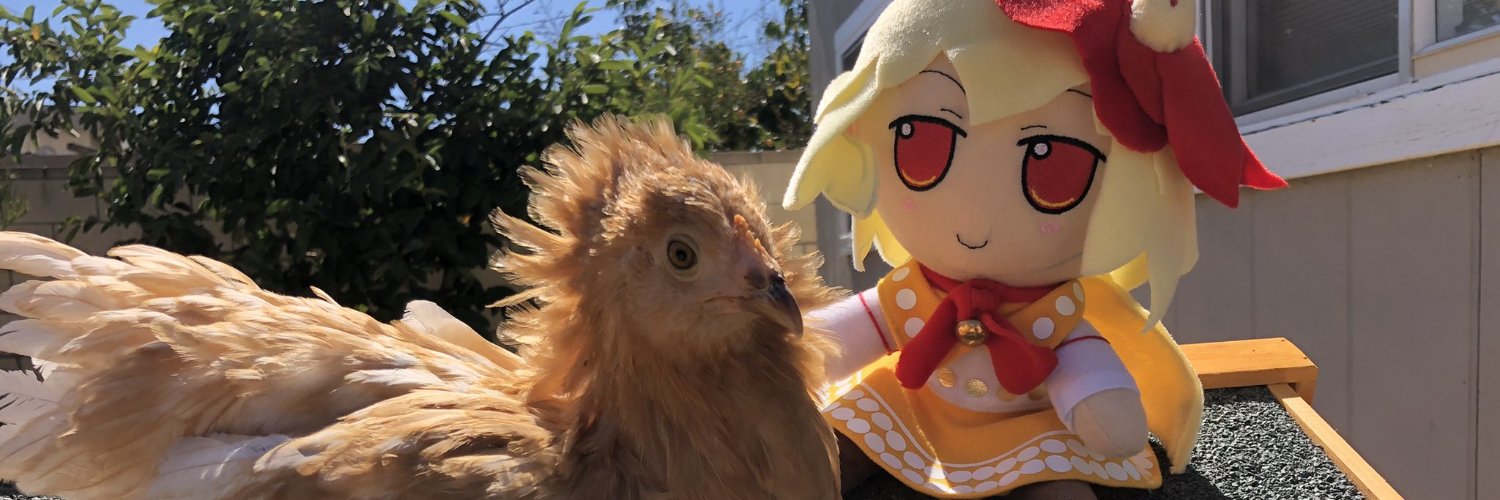 Daily Kutaka's banner