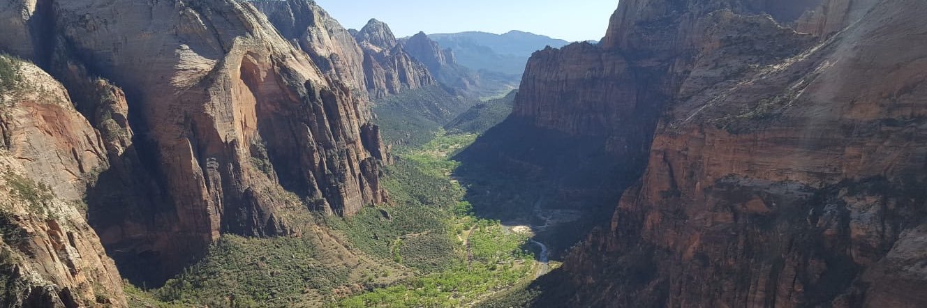 Alessandra Peter banner