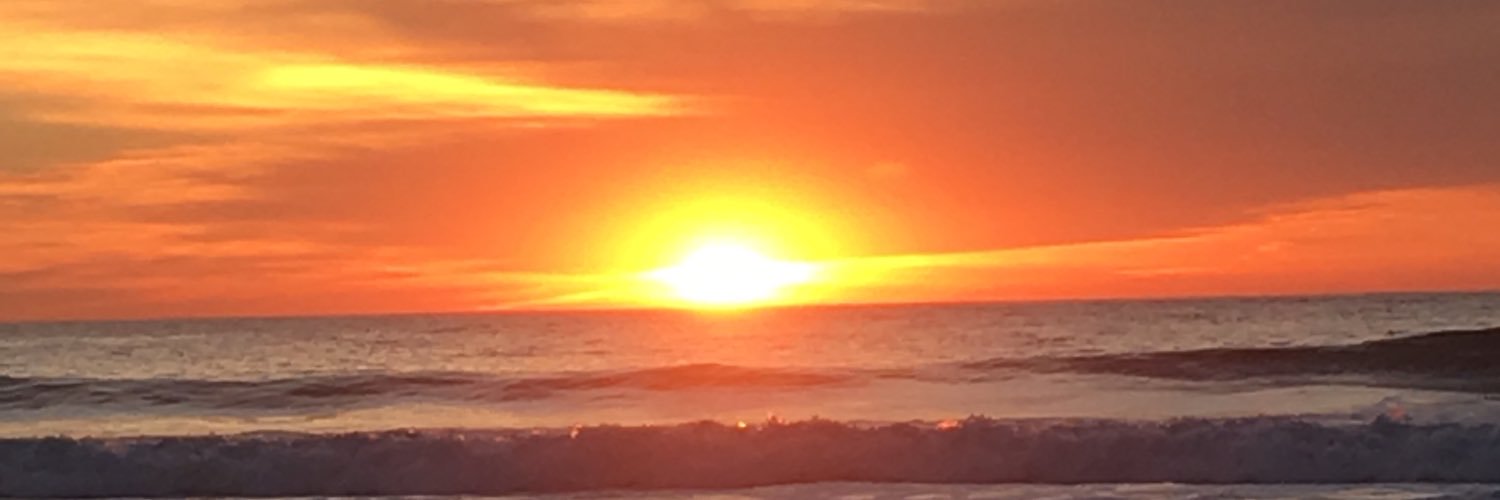 nicksabo619's profile banner image
