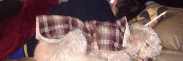 Fernando Del Toro banner