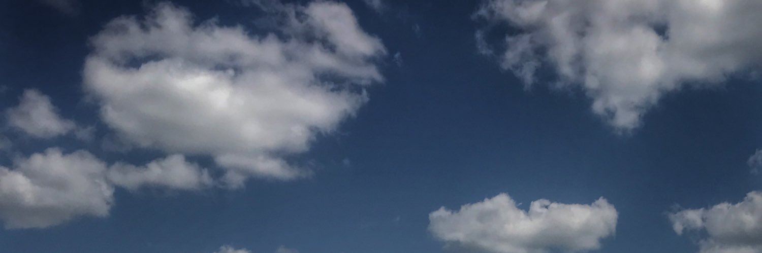 im_ellebee's profile banner image