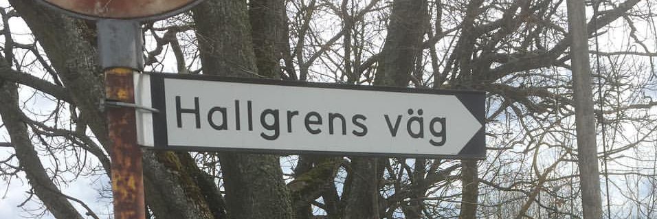 Jonas Hallgren banner
