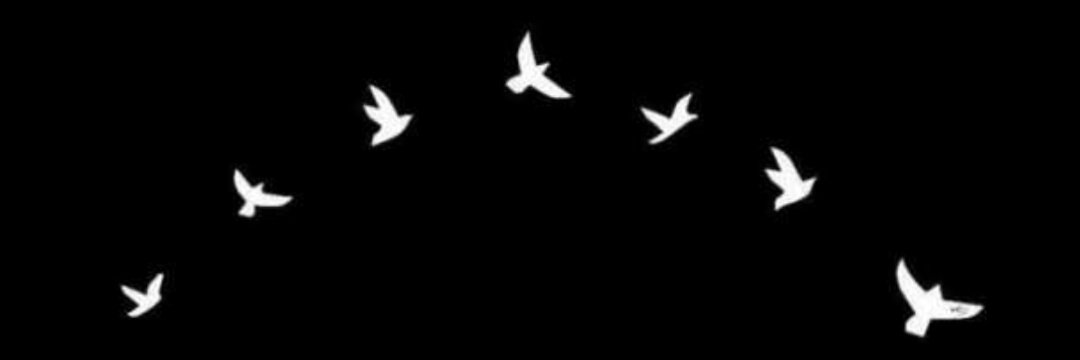ValentinaTP's profile banner image