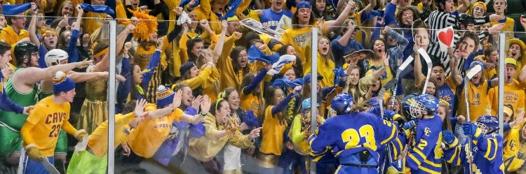 Cathedral Fan Section banner