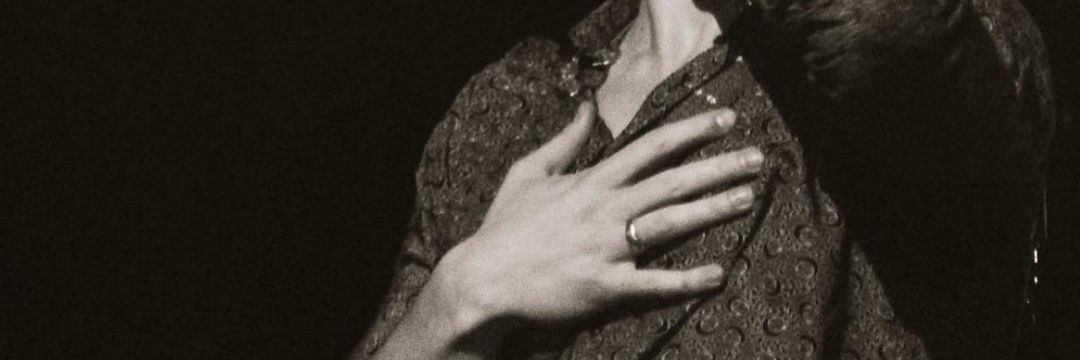 dashierbleibt's profile banner image