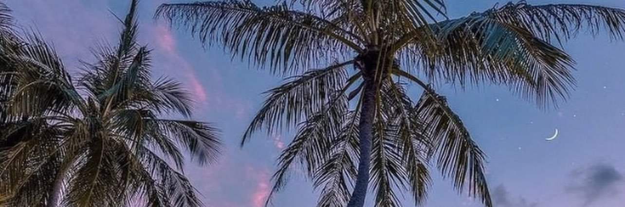 x0boo's profile banner image
