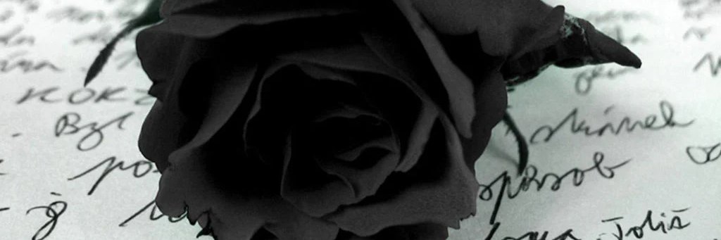 trans dopa banner