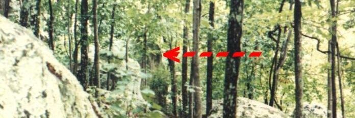 BubbyBigfoot's profile banner image