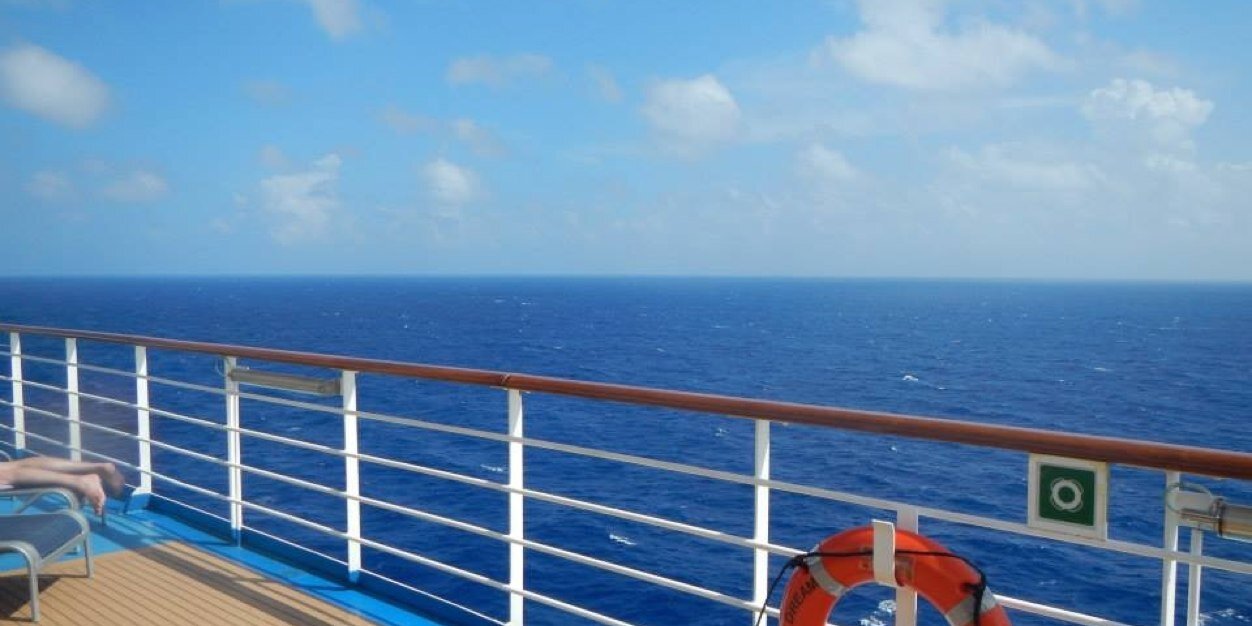 April Willard banner