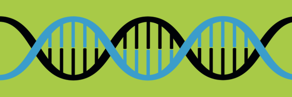 jvchamary Profile Banner