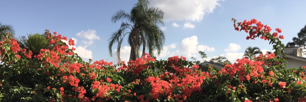 MarcosMFla's profile banner image