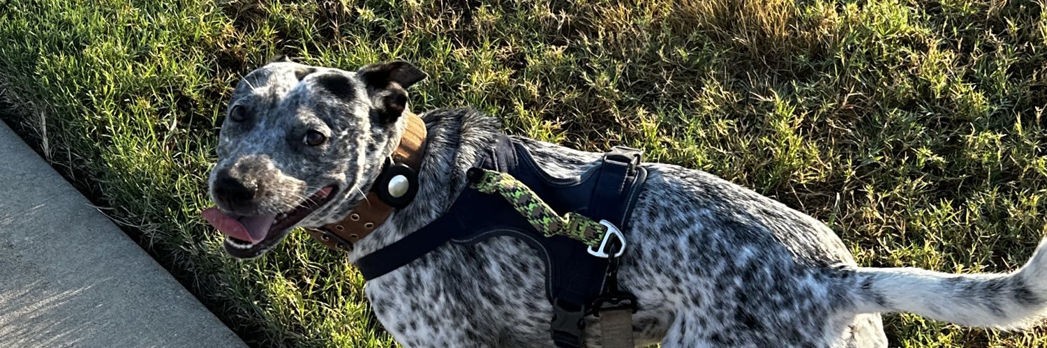 King Ranch Haver banner