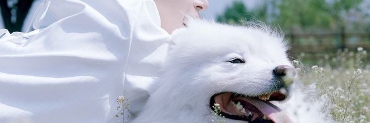 u banner