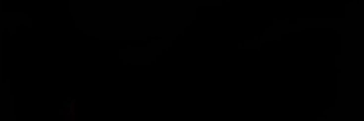 alanis's banner
