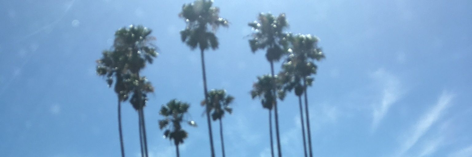 andrea_vid's profile banner image