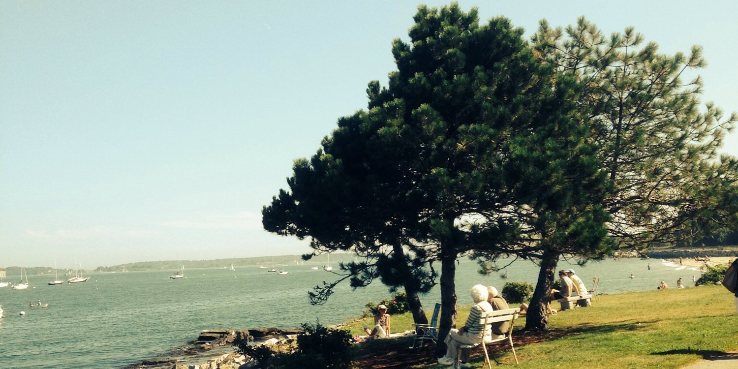 NicholasLepre's profile banner image