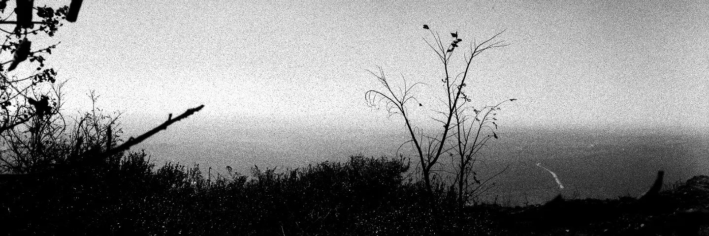 ririrezz's profile banner image