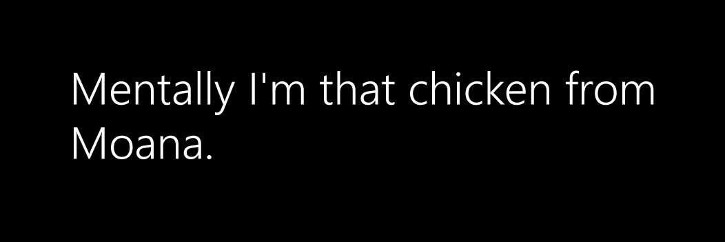 birbcat's profile banner image