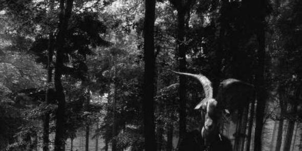 SatanicMilitia's profile banner image