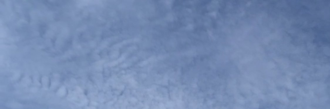 izumin16's profile banner image