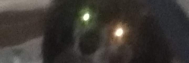 ReinaldoFreita8's profile banner image
