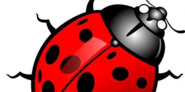 regins111's profile banner image