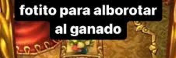 DestruyeTotos25 banner