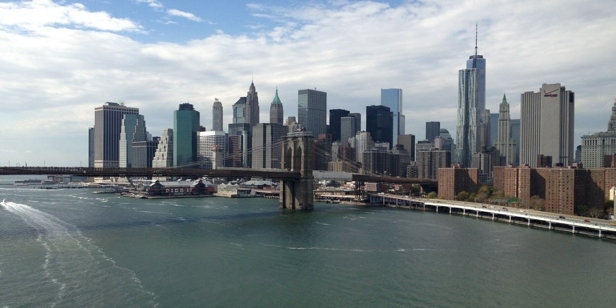 Catherine Habashy banner