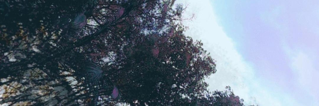 ogreenboy's profile banner image